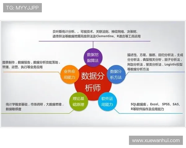 杭州羽毛球队在钻石联赛中的节奏表现分析与未来展望