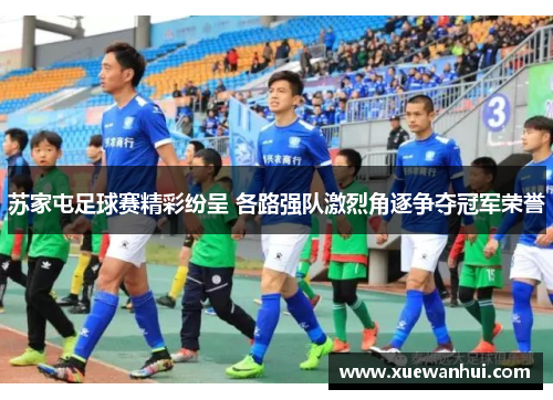 苏家屯足球赛精彩纷呈 各路强队激烈角逐争夺冠军荣誉